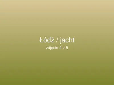 Delphia 24 2017 – zdjęcie 4