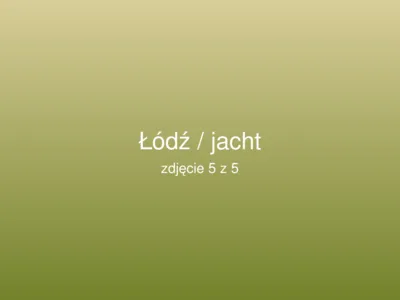 Delphia 24 2017 – zdjęcie 5