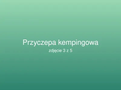 Niewiadów N126 2019 – zdjęcie 3